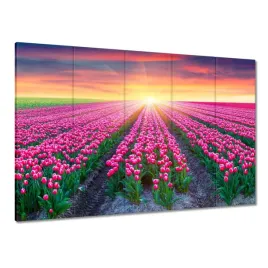 obrazy-225x160-morze-tulipanow-tulipany