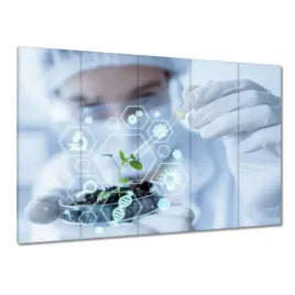 obrazy-225x160-motyw-do-klasy-szkoly-biologia
