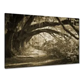 obrazy-225x160-deby-w-parku-sepia