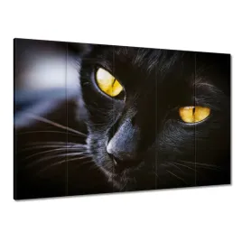 obrazy-225x160-kot-kotek-kotki-koty