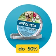 Baner Wszystko dla pupila