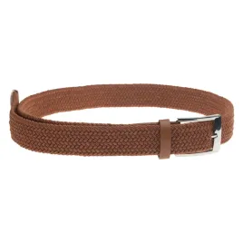 pasek-saddler-s-m-iguana
