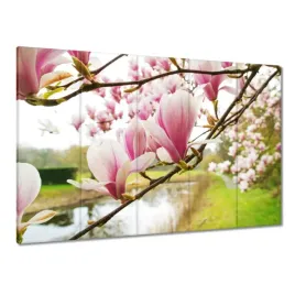 obrazy-225x160-magnolie-w-poznaniu-kwiat