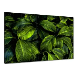 obrazy-225x160-piekne-zielone-liscie
