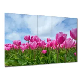 obrazy-225x160-tulipany-kwiaty-kwiatki