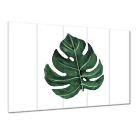 obrazy-225x160-monstera-zielony-lisc