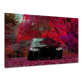 obrazy-225x160-czarne-bmw-jesien