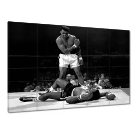 obrazy-225x160-muhammad-ali-walka-boks