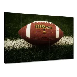 obrazy-225x160-pilka-do-rugby-sport