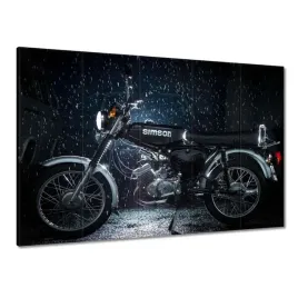 obrazy-225x160-czarny-simson-w-deszczu
