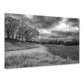 obrazy-225x160-czarno-biale-pole