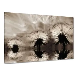 obrazy-225x160-dmuchawce-latawce-w-sepii