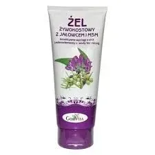gorvita-zel-zywokostowy-z-jalowcem-i-msm-stawy-stluczenia-siniaki-200-ml