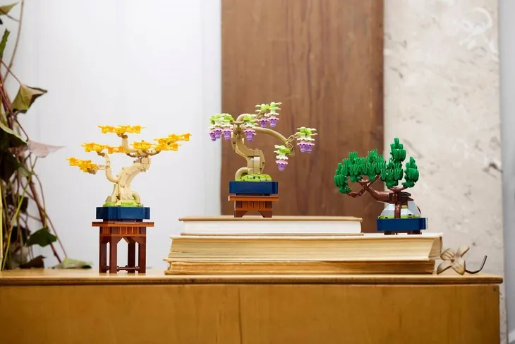 lego-10373-botanical-collection-certyfikaty-opinie-atesty-ce-fsc