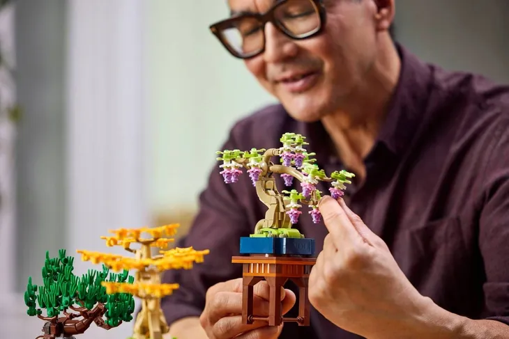 lego-10373-botanical-collection-nazwa-zestawu-zestaw