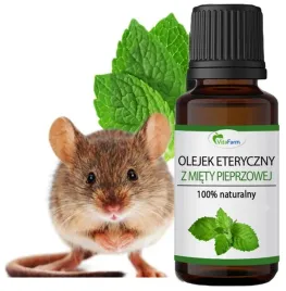 olejek-mietowy-na-myszy-gryzonie-naturalny-eteryczny