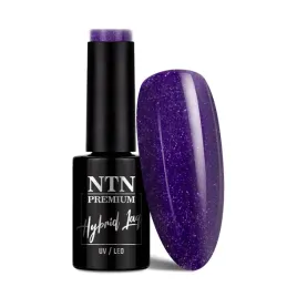 lakier-hybrydowy-ntn-premium-oriental-delice-5g-nr-263