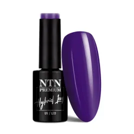 lakier-hybrydowy-ntn-premium-oriental-delice-5g-nr-264