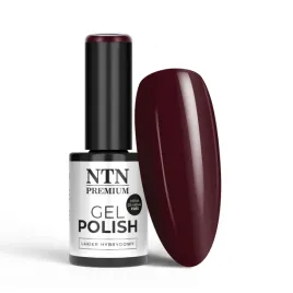 lakier-hybrydowy-ntn-premium-oriental-delice-hema-di-hema-free-5g-nr-267