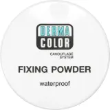 kryolan-fixing-powder-20g-p4-75700-stan-nowy