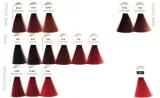 oyster-perlacolor-farba-6-66-100ml-stan-nowy