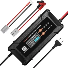 ladowarka-do-akumulatorow-litowych-12v-24v-automatyczne-wykrywanie-napiecia