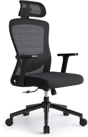 eucladoceros-ergonomiczne-krzeslo-biurowe-siatkowe-zaglowek-2d-czarne