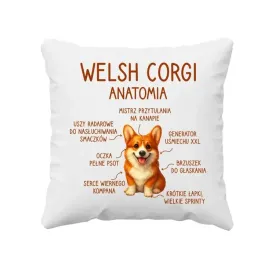 poduszka-na-prezent-welsh-corgi-anatomia
