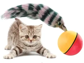 pilka-dla-kota-euroeco-zabawka-biegajacaweazel-ball-dla-kota-psa-fretki
