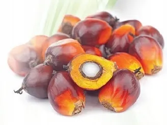 tokotrienole-kompleks-witamina-e-30ml-avitale-cechy-dodatkowe-bez-laktozy-bezglutenowy