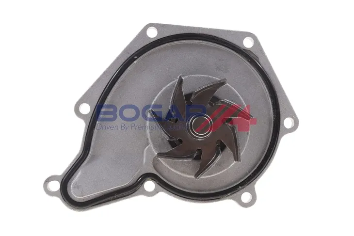 pompa-wody-a4234134-bgp-waga-produktu-0-72-kg