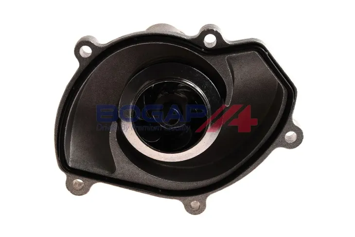 pompa-wody-a4234139-bgp-waga-produktu-0-62-kg