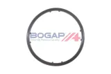 pompa-wody-a4234157-bgp-numer-katalogowy-oryginalu-audi-045121011hx-seat-045121011f-seat-045121011fv-seat-045121011fx-seat-045121011h-seat-045121011hx-seat-1250684-seat-1250685-seat-1459215-seat-1459216-seat-1673517-seat-3m218501aa-seat-45121011f-seat-45121011fv-seat-45121011fx-seat-45121011h-seat-45121011hx-seat-6m218501aa-seat-me6m218501a1a-seat-rm6m218501aa