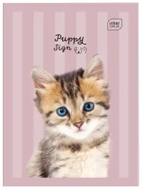 zeszyt-do-slowek-w-kratke-a6-interdruk-32-kartek-puppy-sign