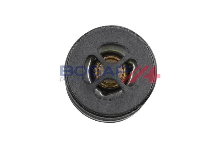 termostat-b4245123-bgp-waga-produktu-0-08-kg