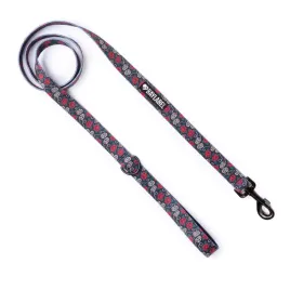smycz-miejska-baylabel-dla-psa-skullsnroses-180-cm-25-mm