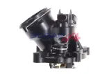 termostat-c4247101-bgp-waga-produktu-0-323-kg