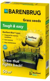 trawa-resilient-1kg-nasiona-trawnik-blue-lawn-odporna-barenbrug