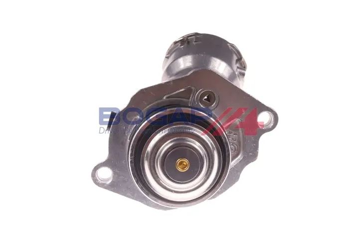 termostat-c4245105-bgp-waga-produktu-0-36-kg