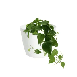 doniczka-donica-oslonka-17-cm-plastikowa-na-kwiaty-rosliny-biala-okragla