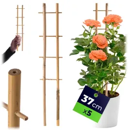 pergola-podpora-drabinka-bambusowa-37cm-ogrodowa-do-roz-kwiatow-roslin-5szt