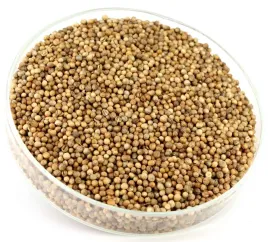 kolendra-naturalne-ziarna-jakosc-zobacz-100g