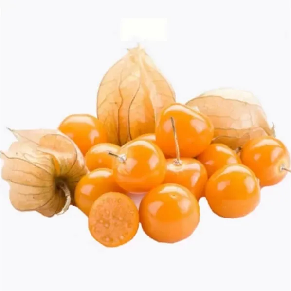 physalis-miechunka-c2-rodzaj-rosliny-inny