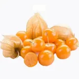 physalis-miechunka-c2-rodzaj-rosliny-inny