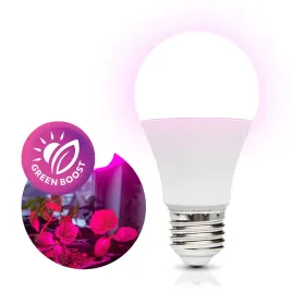 zarowka-do-uprawy-roslin-led-gs-11w-e27-1200k-wzrost