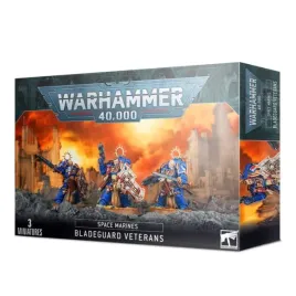 space-marines-bladeguard-veterans