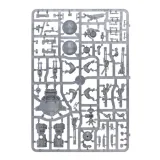 t-au-empire-pathfinder-team-wiek-dziecka-12-lat