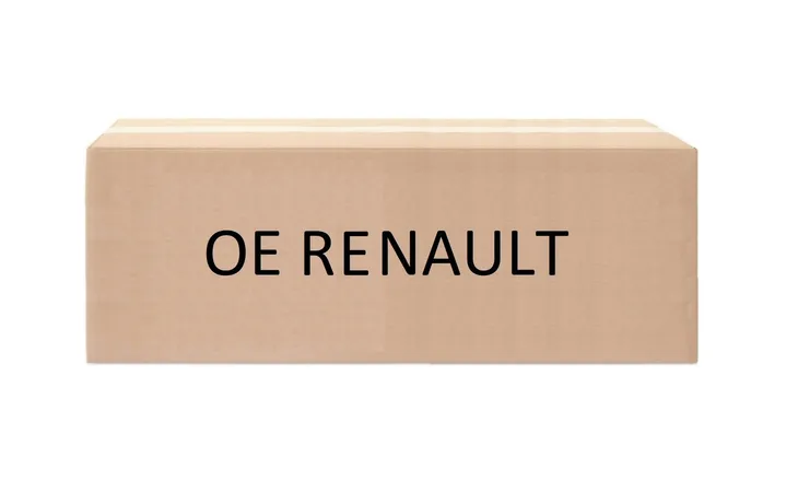 renault-oe-620430255r-strona-zabudowy-prawa