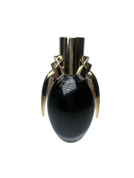 lady gaga fame