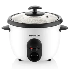 ryzowar-hyundai-rc100-bialy